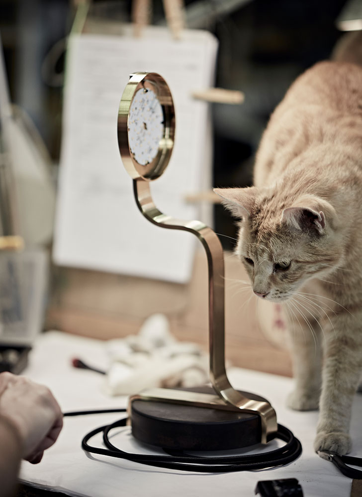 Titus the workshop cat inspecting a Script table lamp